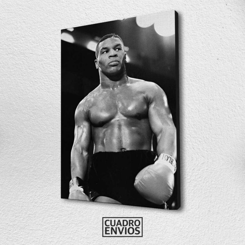 Mike Tyson B&N – Cuadro Envíos